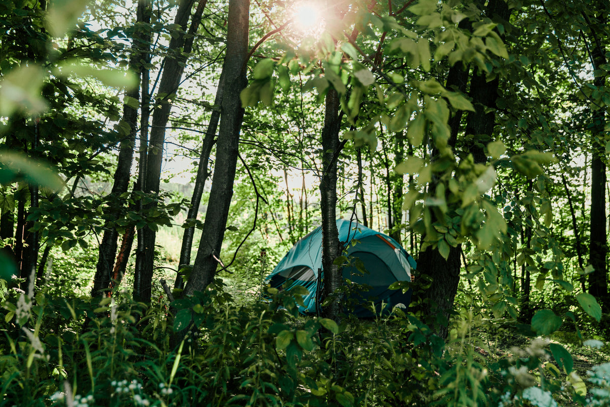 Camping & Hiking